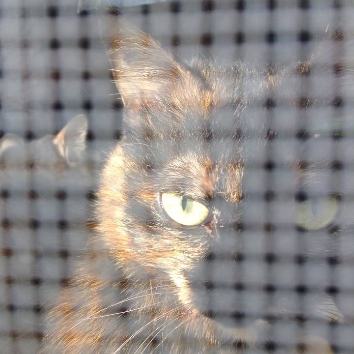 Ec21edcc 7b63 496d aa70 a85ec18abacb