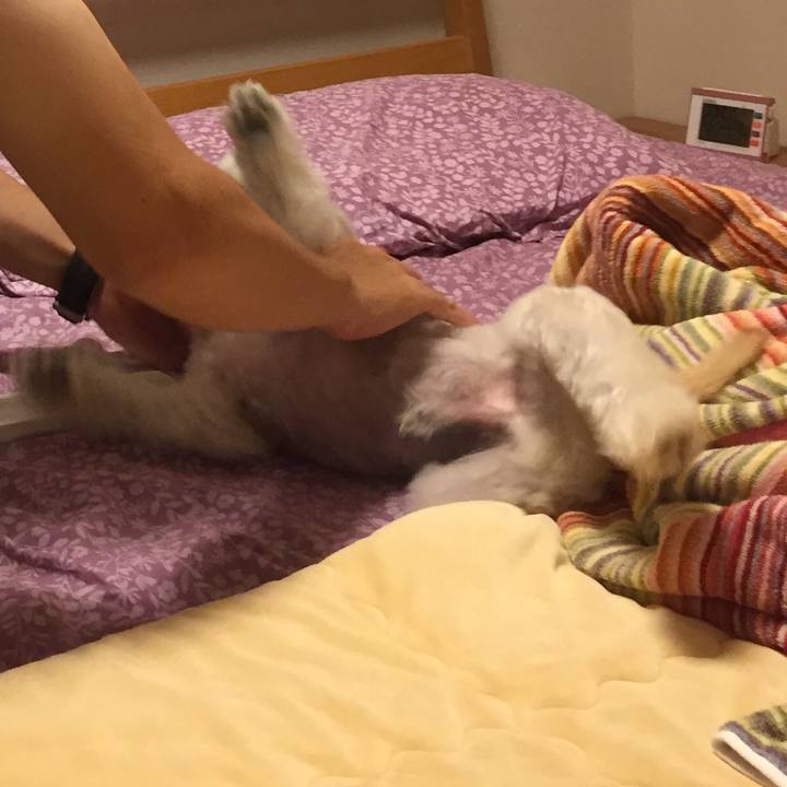 Ec22047b 5e60 49cd 9597 bba9d6c789a8