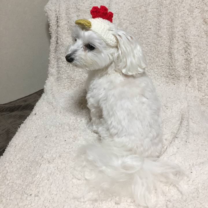 Ec224d87 c10d 447b 961b 4408feb1fdb4