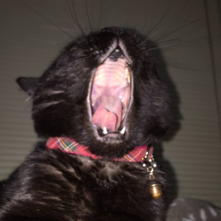 Ec22fd2b fbba 4e73 b1e8 08c0bab65aee