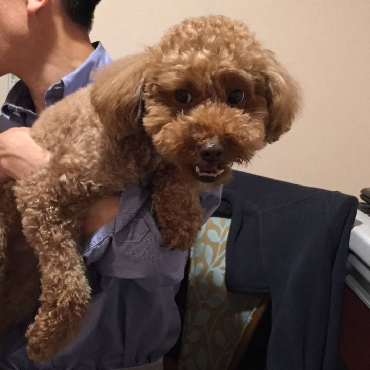 Ec23cdf3 2ec7 4d66 ad0f 7e7dc2ae9362