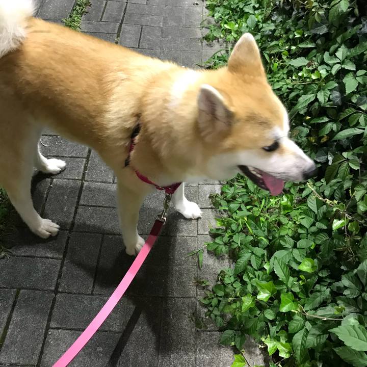 Ec24573b f426 4736 8dd5 a4e7e7932771