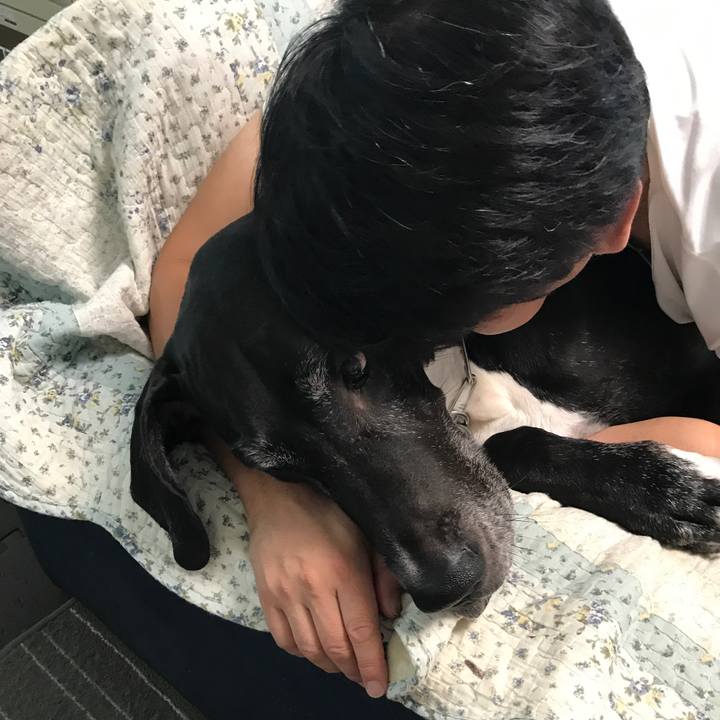 Ec24a4ad 42f3 4a50 9ec2 99f74510cd91