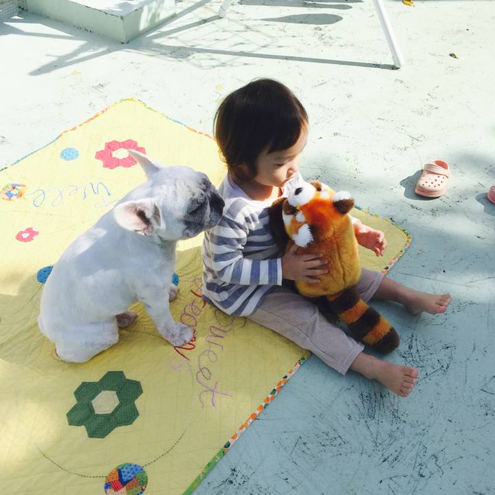 Ec256625 cabf 44dc 8aa8 88e0341edff8