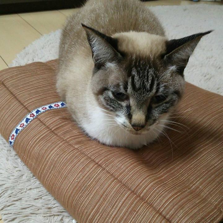 Ec259213 fa86 4a43 9877 bb50a2afb6c3