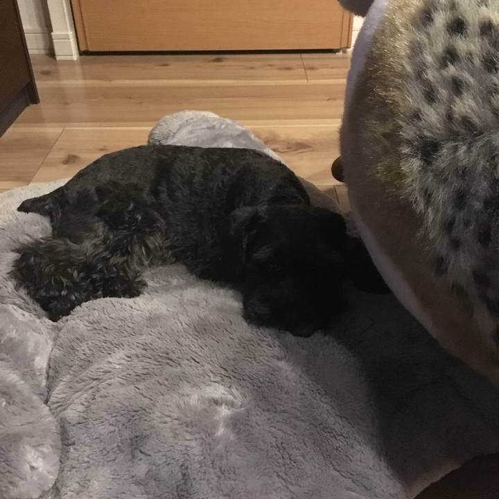 Ec2594c4 3e57 402f 83ce 8ad9476f4f7b