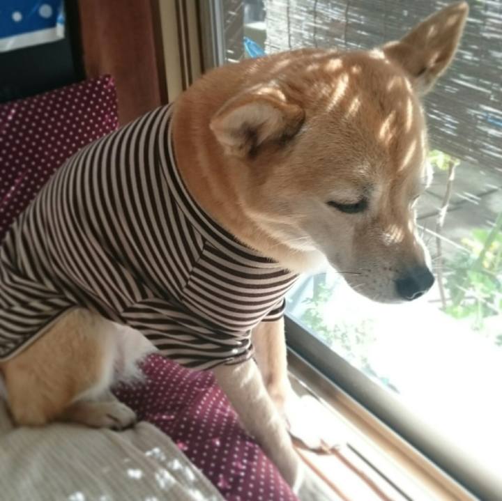 Ec26489c 94c3 44f2 8c99 1be0409f5562