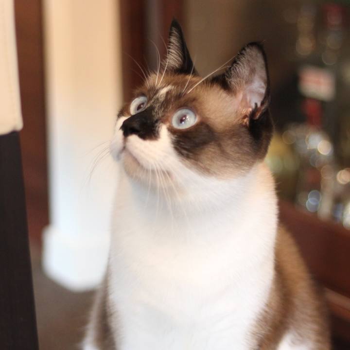 Ec270955 4190 48af 8785 ddff7459bfe8