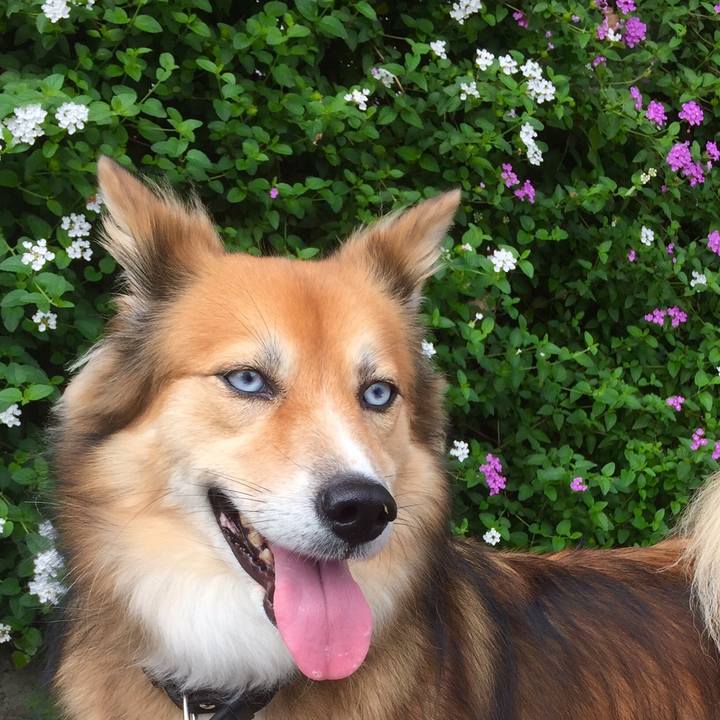 Ec27200c eb6a 46d6 bd96 90fed583bc31