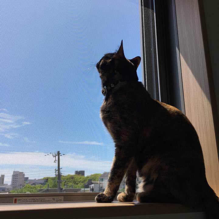 Ec278dd9 3297 4f38 ba4f e22ba7583493