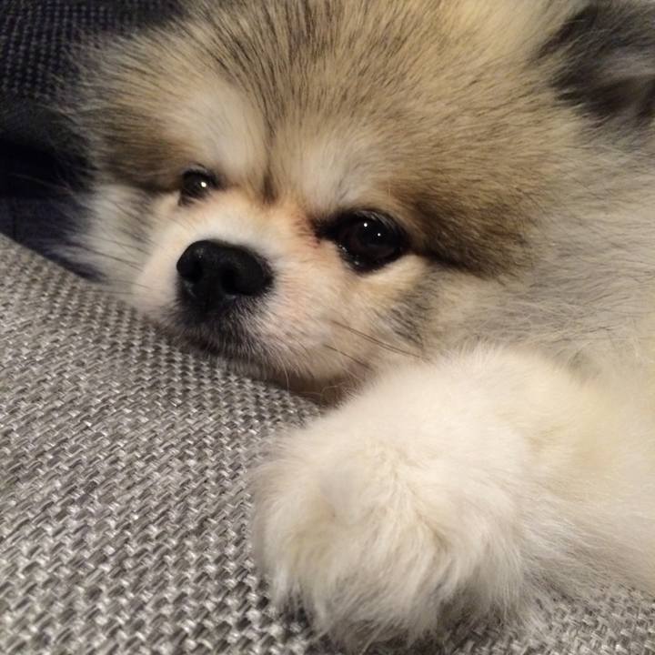 Ec283335 f8da 4799 90df 2c924e8e6492