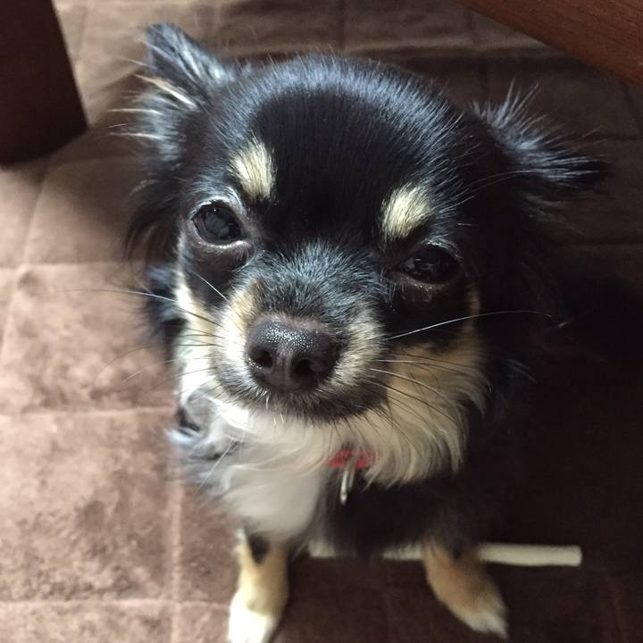 Ec286056 885b 4b82 be12 fba2c6ed3713