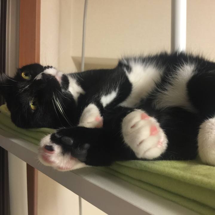 Ec286a68 3038 4bd1 8306 557ad0dfeaa6