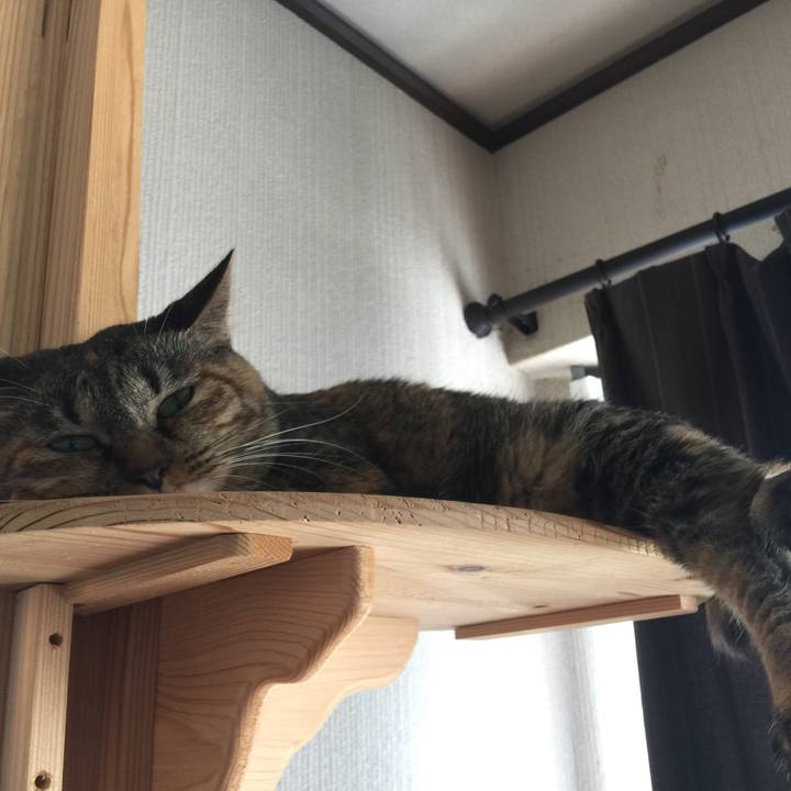 Ec288e89 dbe5 4025 abfb fd4aac02a326