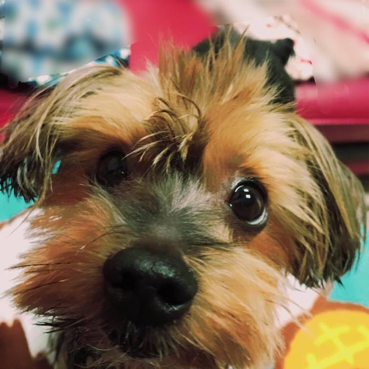 Ec28cc9e e37d 44c3 8f4d 1746f6430c96