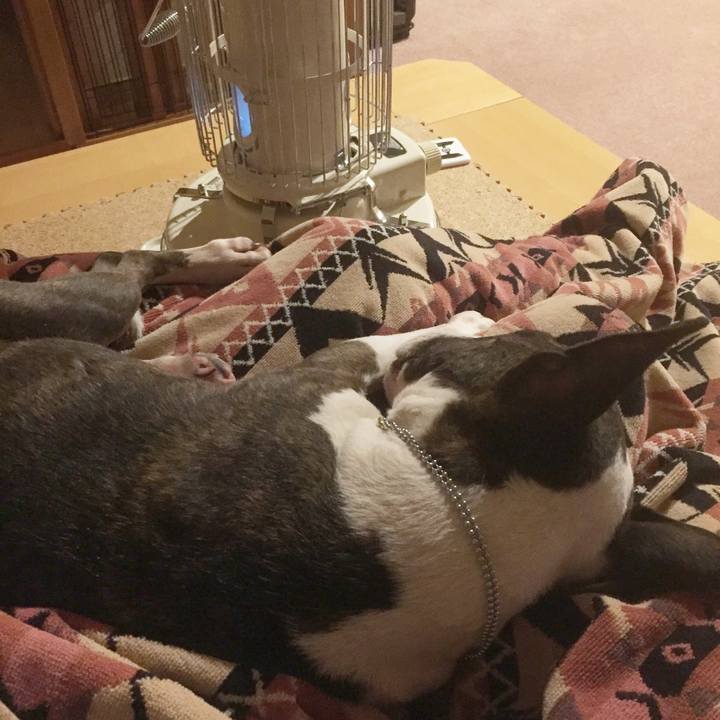 Ec2953a5 9dbd 4fc9 a40c 1970a9f8073c