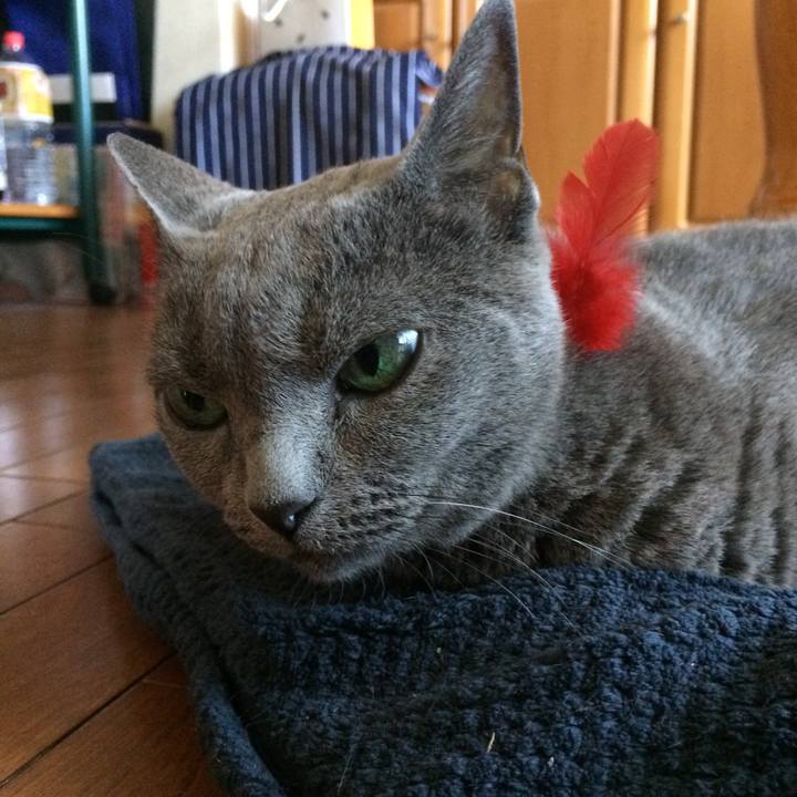 Ec296a7b 9b89 4fe5 9f83 e9a7e2f3133c