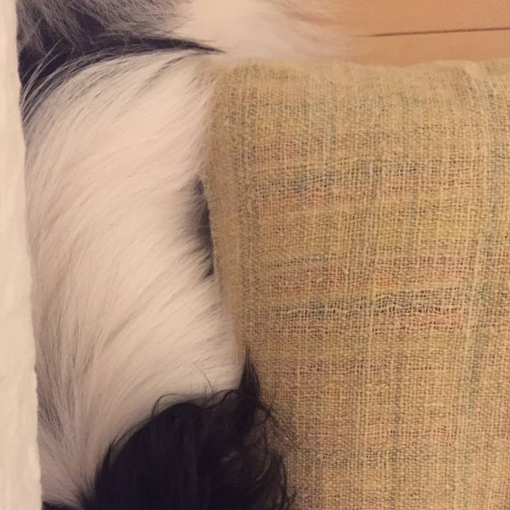 Ec2976ad b168 4e11 9e73 e9b9c35034f9