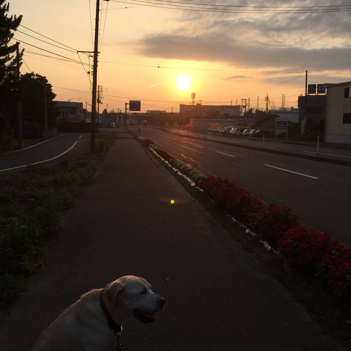 Ec29dba6 0256 4338 afa1 2987c06f73f2