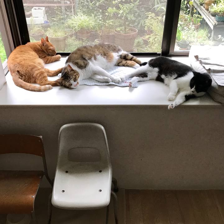 Ec2a3f76 9c88 4aff a23a 5f5bef846af9