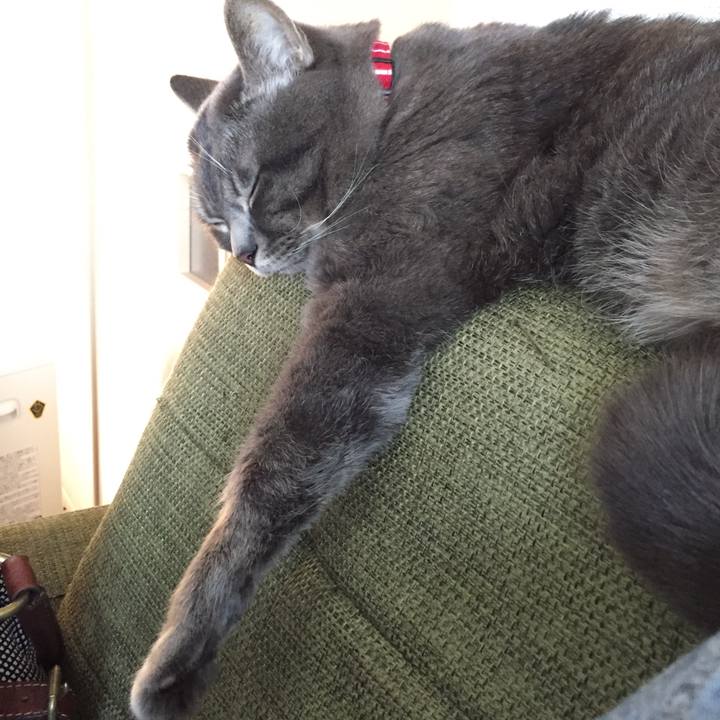 Ec2af2eb bd37 4d0e bafa 6e38fa1e70f2