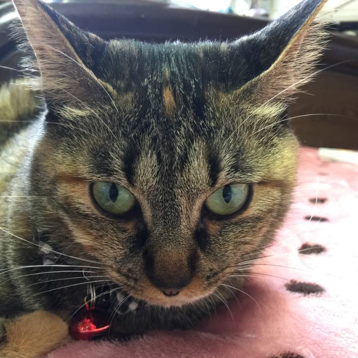 Ec2b7051 f1fc 49f6 8f59 6e618bffff67