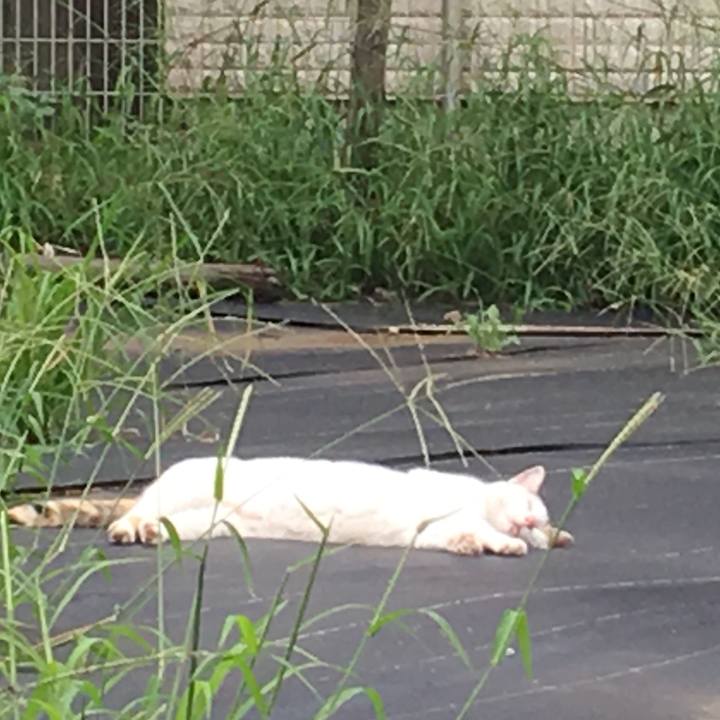 Ec2b9298 4fa9 463e 8a51 e3989526e04e