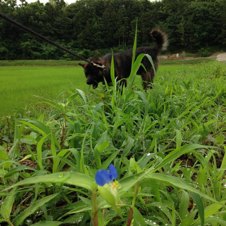 Ec2be9bb 2042 4c6c 8608 a0806af5dd48