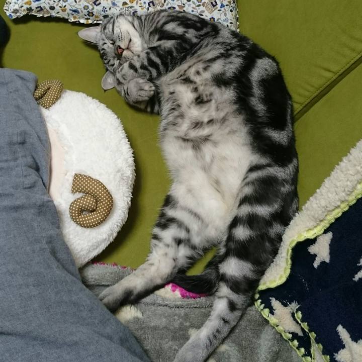 Ec2c1b8b 0327 4511 bdb9 3673ee96d96a