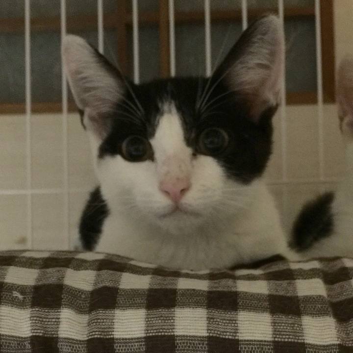 Ec2c3c0a d366 4acf ae46 4be042422b2e