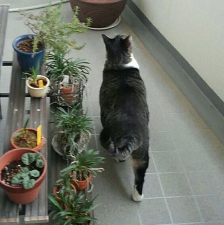 Ec2d9c8a 1ea1 4504 8b14 9dbbf5bb70b1