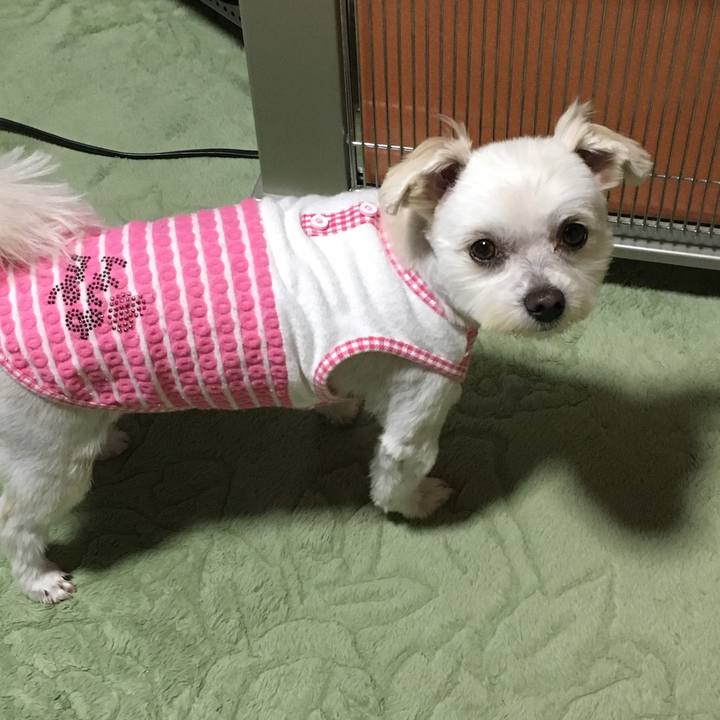 Ec2df22c 1e86 4fc3 9f24 56a2cf1e78e7