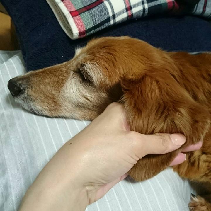 Ec2e0098 1d90 4c87 a67e 46e82180765e