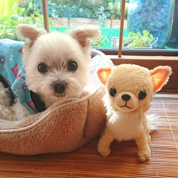 Ec2eab3d 41ed 44cb 87a5 589a8219a5fd