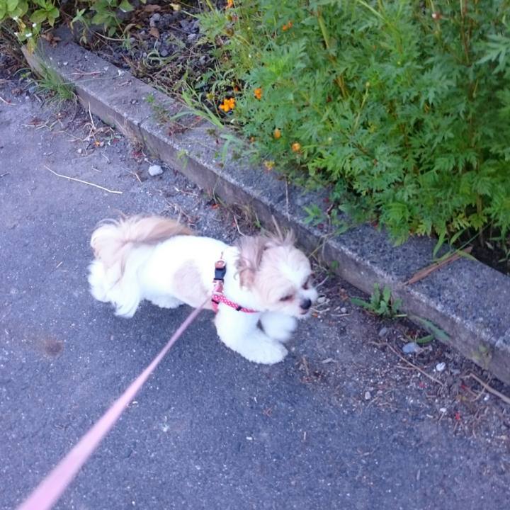 Ec2ebde1 062b 45ec 991d ff4cadf190ec