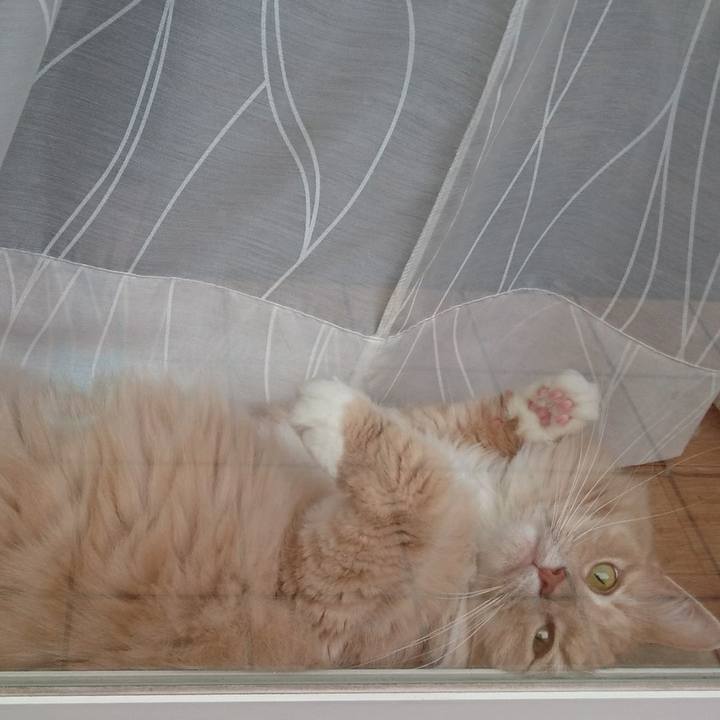 Ec2efaa0 e478 4395 90e0 0a3fb2f8f19e