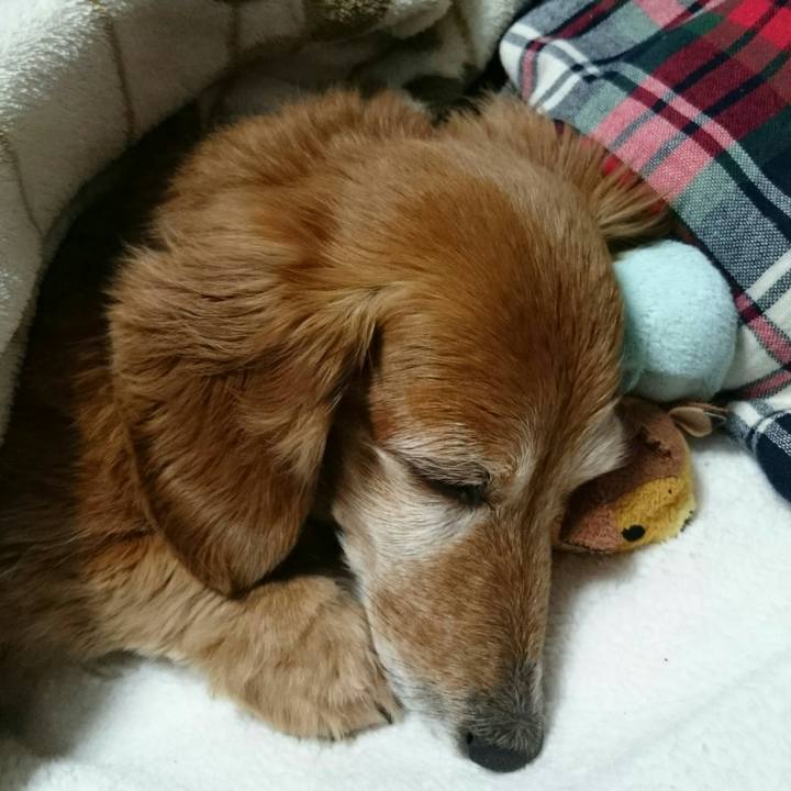 Ec2f4974 74f7 4153 a9a5 e69b40ae6ba5