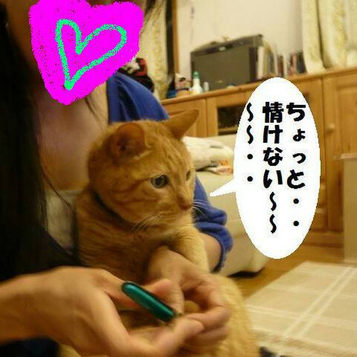 Ec2fac85 3e54 45de 95b4 fcf335c21a19