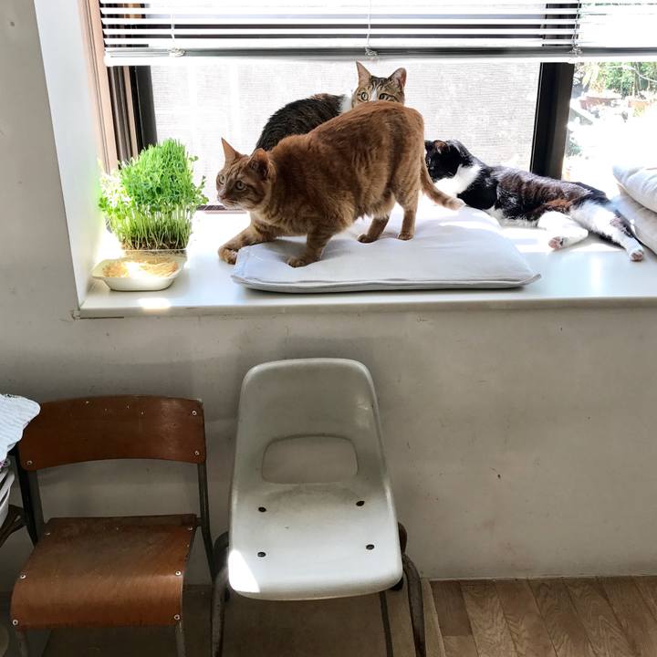 Ec2fb177 a623 41b7 ab71 7fbfd9c409a9