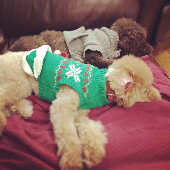 Ec301d5d 9d3e 4d81 a9c0 88d6e30809c8