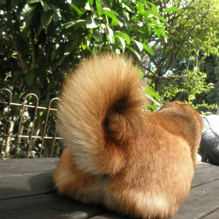 Ec303805 7c35 4f5c b769 bcb063a8abee