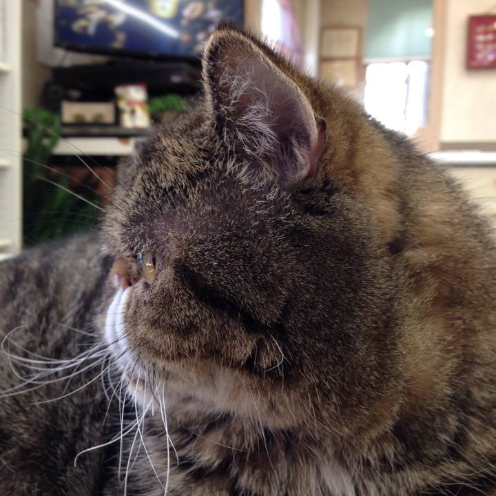 Ec305ac7 dd2b 434b b03f fefec05e17dc