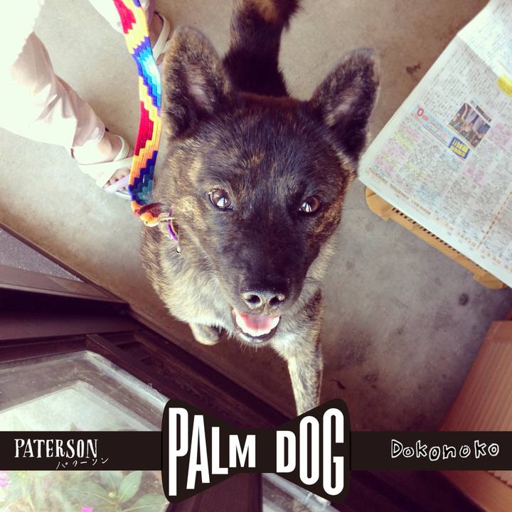 Ec306365 f589 46f2 a784 6b55de27c896