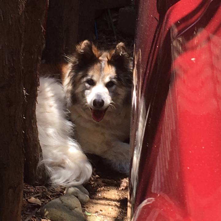 Ec3188ee 277e 4598 87f0 af490f55f61d