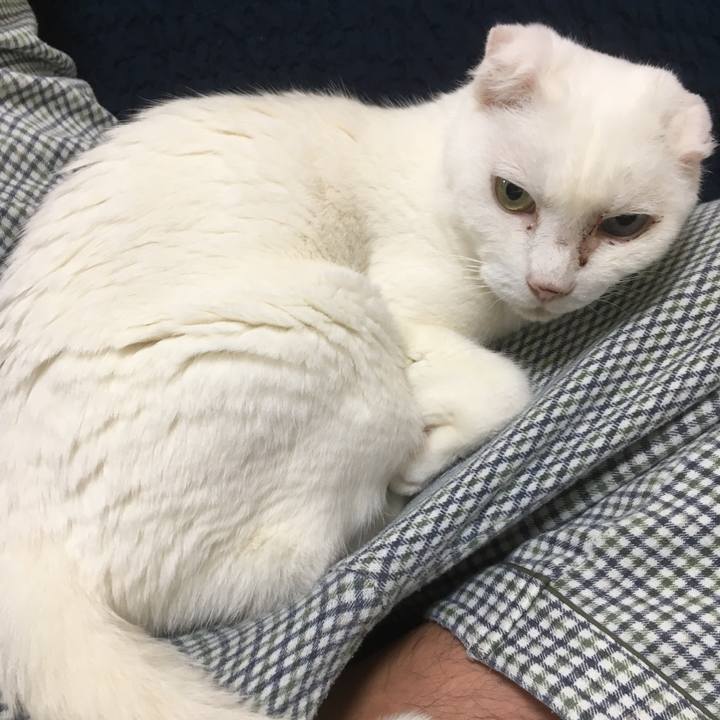 Ec31f5c1 092f 4c98 a401 243a06a7c95d