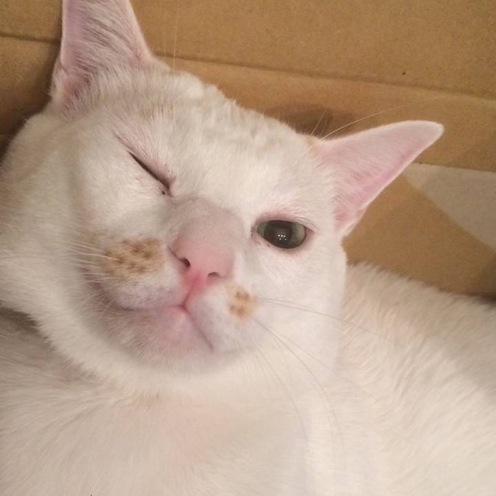 Ec3228b3 b9b9 42a0 b6f4 a717885bf0c5