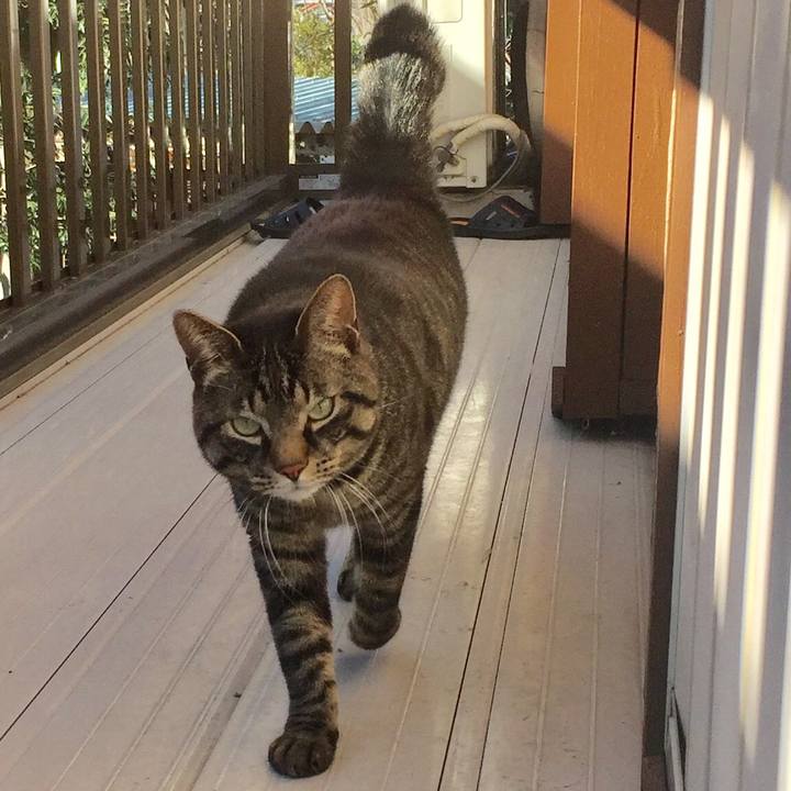 Ec3232ce 65a5 46e3 93b1 3fc6f443e098