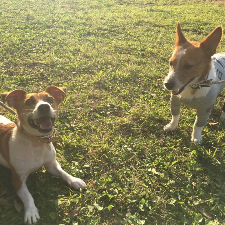 Ec32c605 97bd 428a b44d 78a39fb8750b