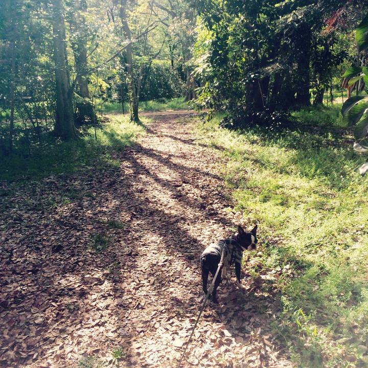 Ec32ccec e124 4fb3 8f15 693df311e469