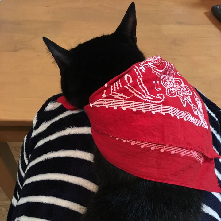 Ec332da4 cd7d 48a3 add6 ed3352c0ec5f